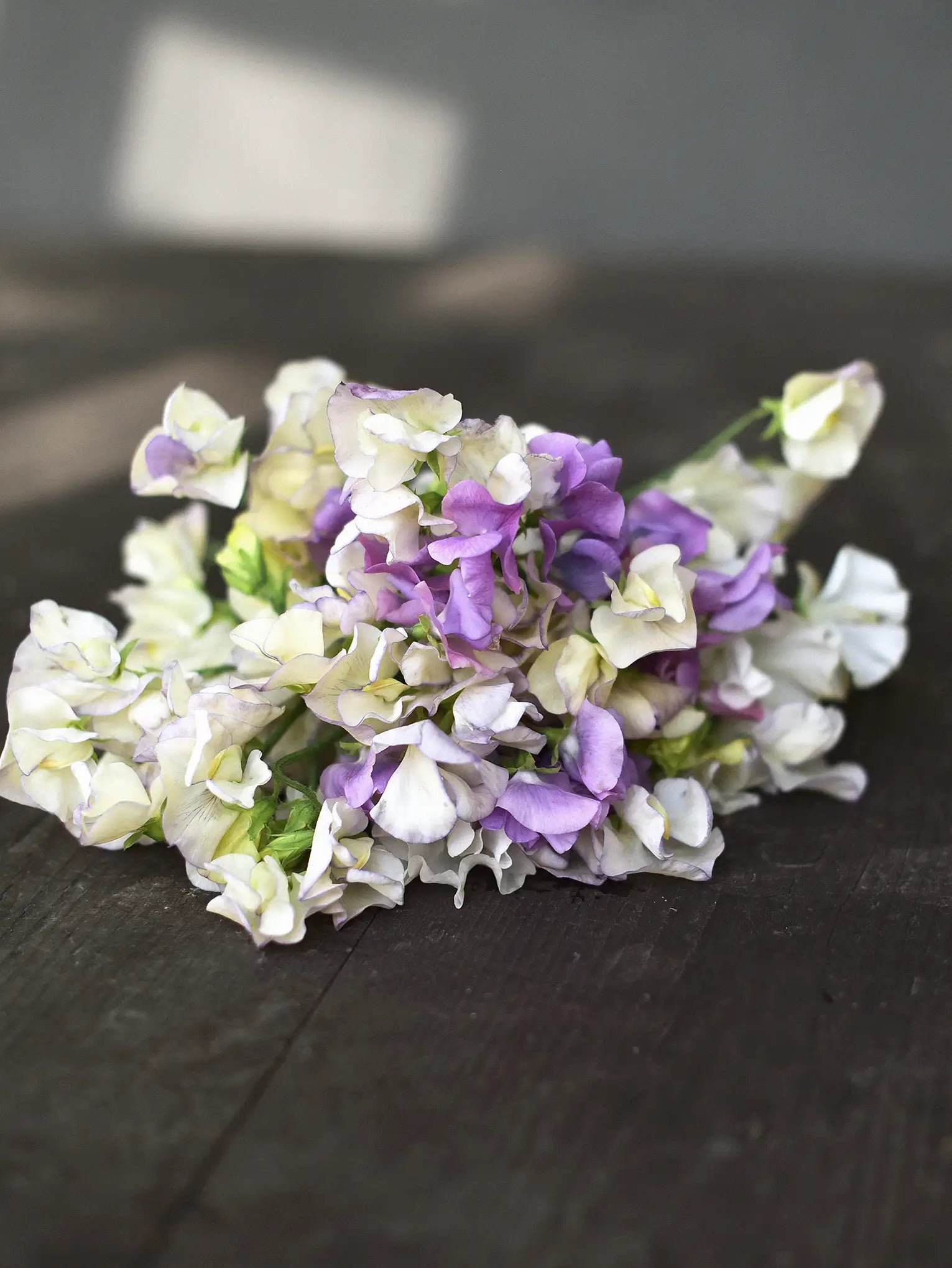 Sweet Pea Mix