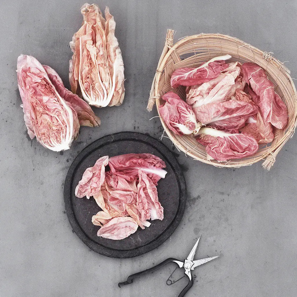 Rosensallat / Radicchio