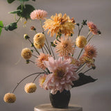 Dahlia Mix 'Fairway Glow'