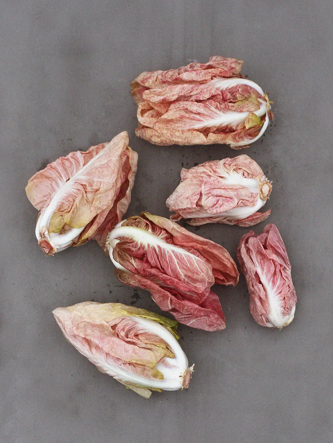 rosada seeds Radicchio 'Rosa Del Veneto 'Passerina' – Zetas Garden