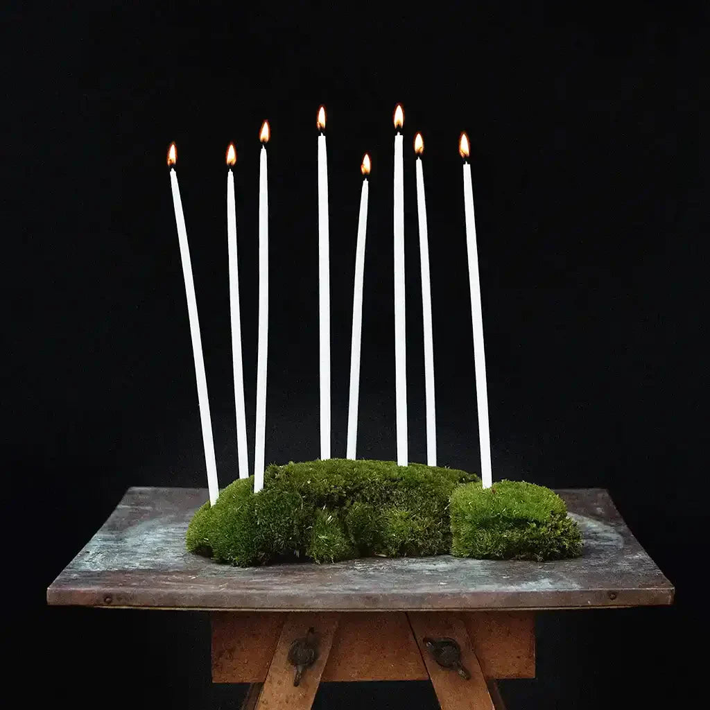 Narrow candles in moss