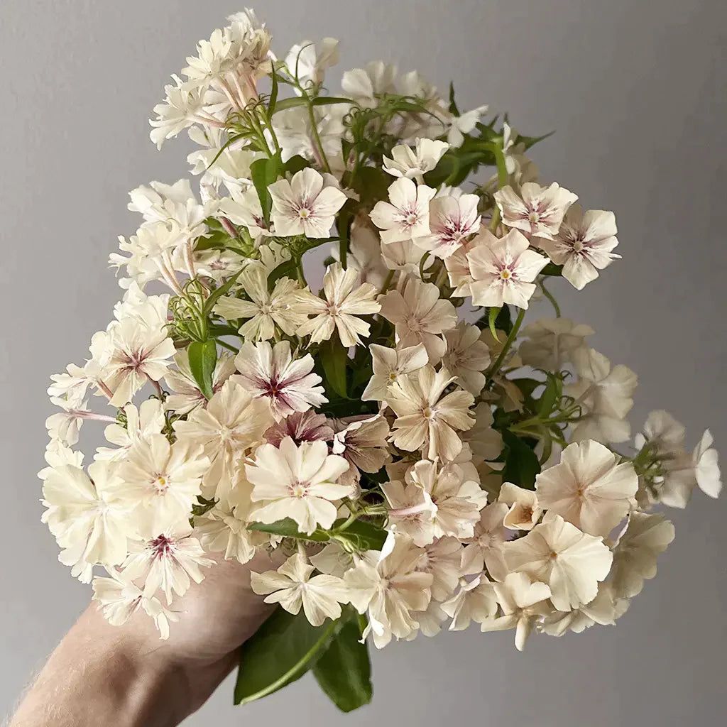 Summer flower bouquet