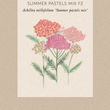 Röllika 'Summer Pastels Mix'