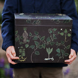 Advent Calender 2026
