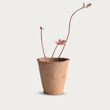 Bio Plant Pots
