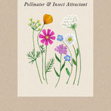 Blomstermix 'Pollinator & Insect Attractant'