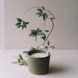 Scented Candle 'Silverberry' 350 g