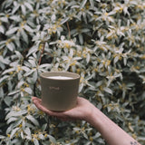 Scented Candle 'Silverberry' 350 g