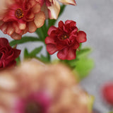 Butterfly Ranunculus 'Butterfly Hades'®