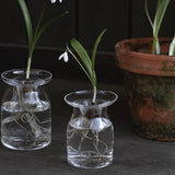 Glasvas 'Nivalis' liten