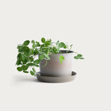 Flowerpot 'Gro' Sage Green Ø17,5 cm