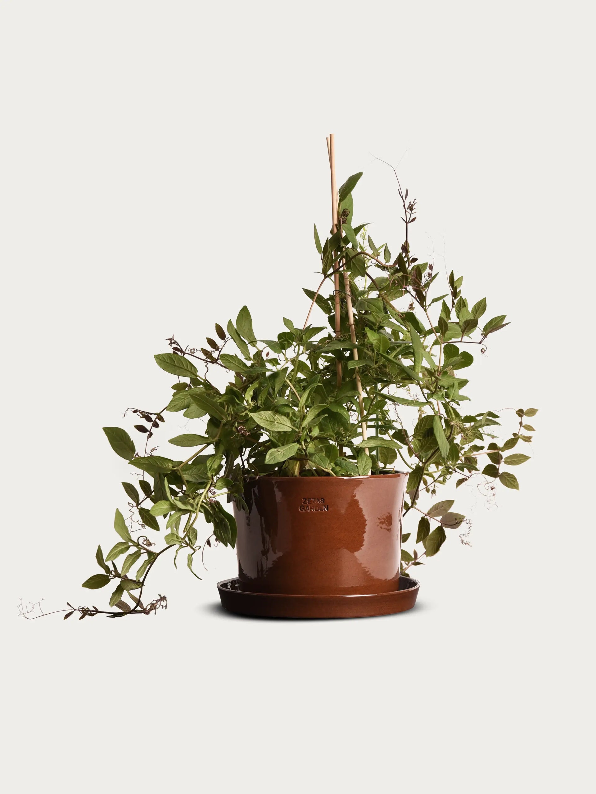 Flowerpot 'Gro' Iron Oxide Ø20,5 cm – Zetas Garden - Online Store
