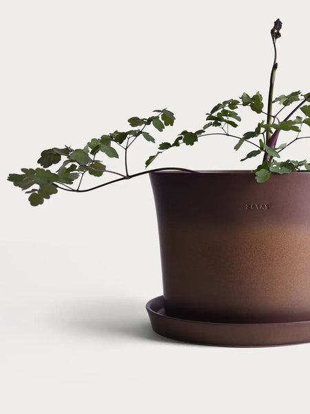Flowerpot 'Gro' Ash Brown Ø25 cm – Zetas Garden