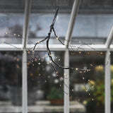 Light Decoration 'Vintergren'