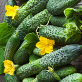 Cucumber 'Petipikel'