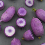 Daikon Radish 'KN BRAVO F1'