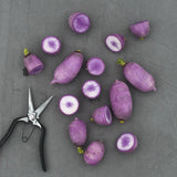 Daikon Radish 'KN BRAVO F1'