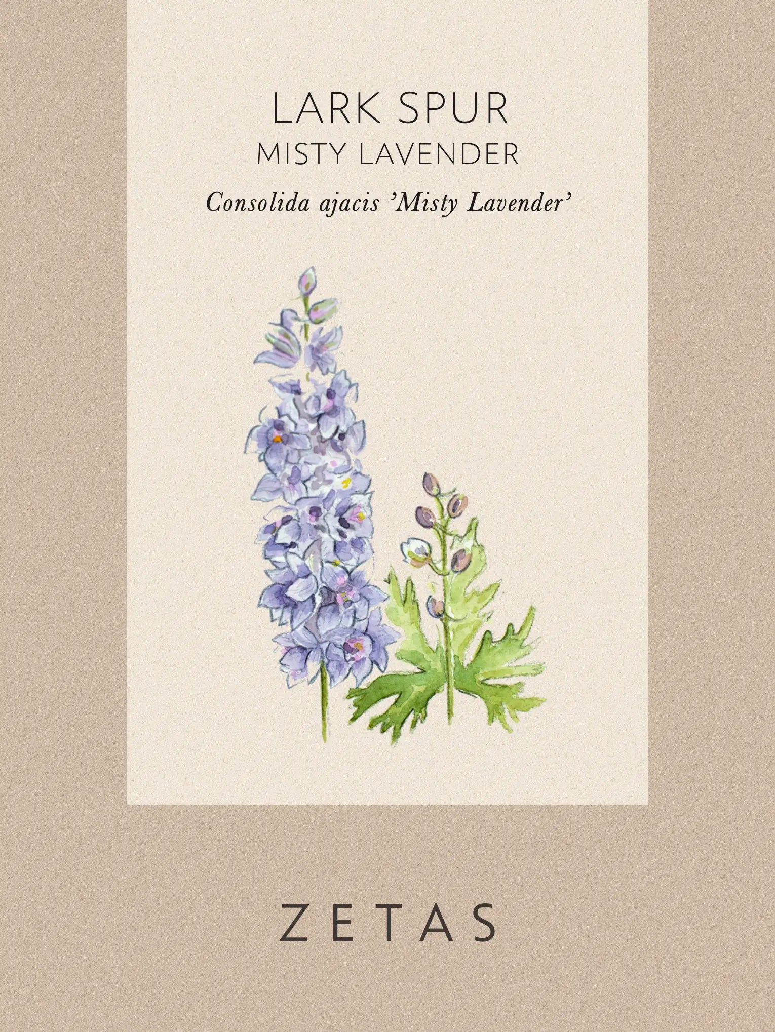 lavender seed packets Lark Spur 'Misty Lavender' – Zetas Garden