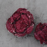 Radicchio 'Grumolo Rosso'