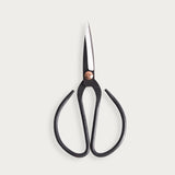 Scissor 'Mellan'