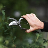 Secateur 'Björk'