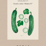 Snack Cucumber 'Kaikura' F1