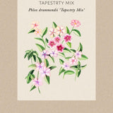 Sommarflox 'Tapestry Mix'