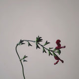 Scented Candle 'Black Currant Sage' 350 g