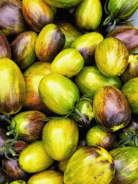Tomato 'Atomic Fusion' – Zetas Garden - Online Store
