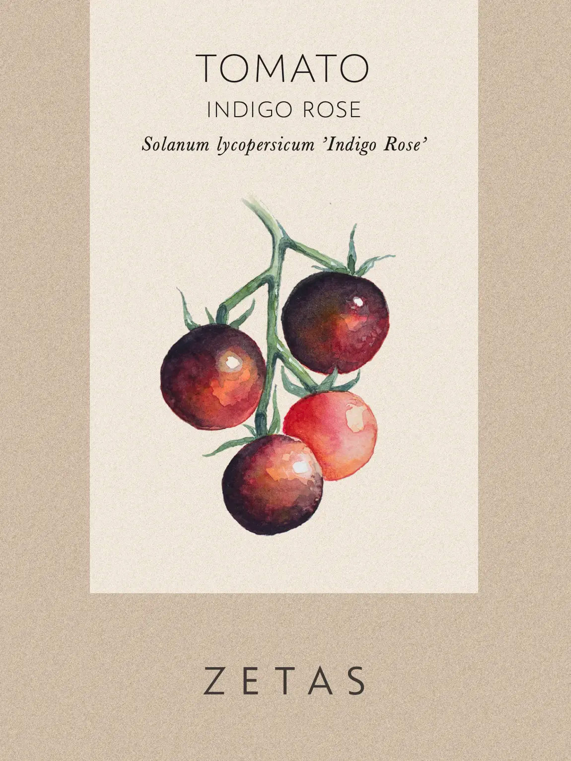indigo rose tomato seeds Tomato 'Indigo Rose' – Zetas Garden