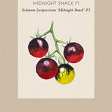 Tomat 'Midnight Snack'