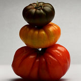 Tomato nutrient for better-tasting tomatoes