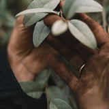 Hand Cream 'Silverberry' 70 ml