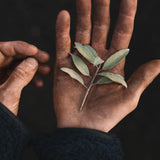 Hand Wash 'Silverberry' 300 ml