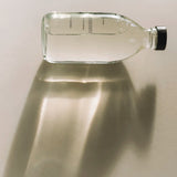 Hand Wash 'Silverberry' 300 ml