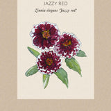 Zinnia 'Jazzy Red'