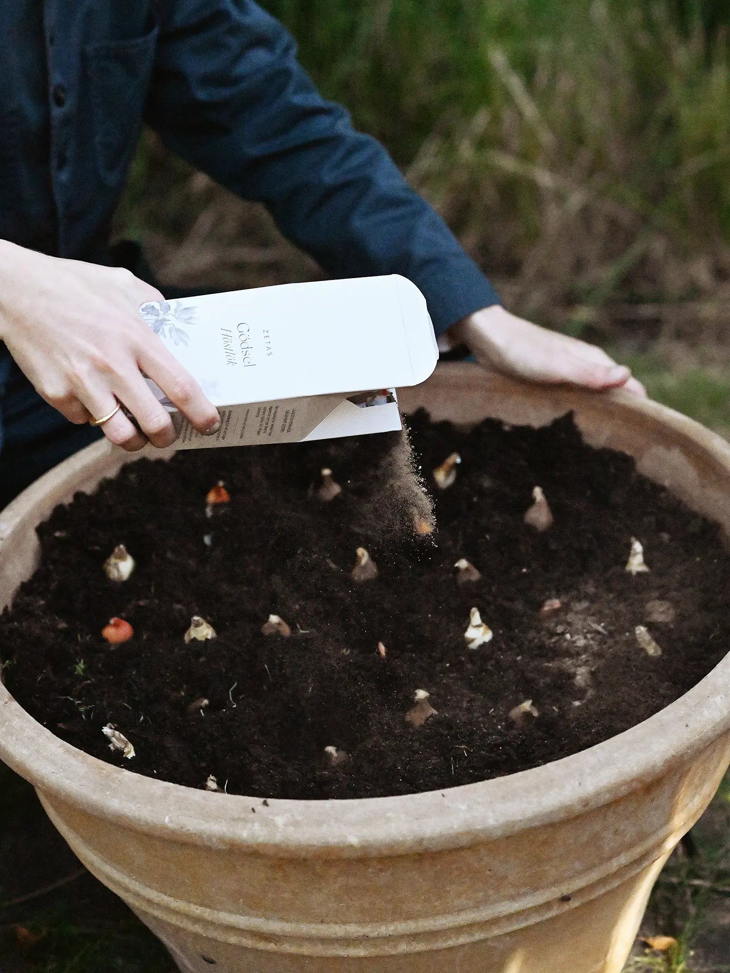 Spring Bulbs Fertilizer
