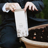 Spring Bulbs Fertilizer